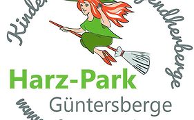 Kinder- Und Jugendherberge Harz-park Guentersberge